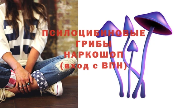 СК Михайлов