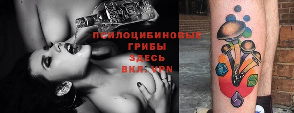 СК Михайлов