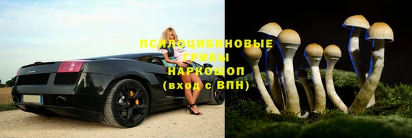 круглые Алзамай