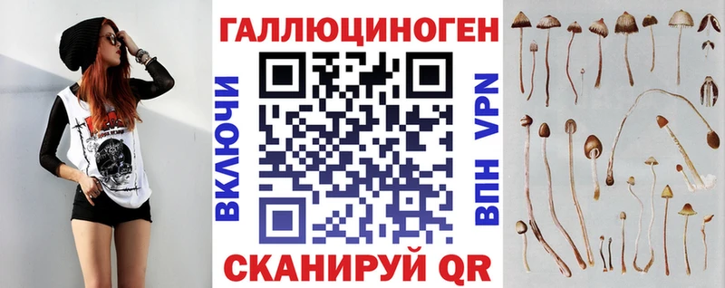 где купить Щигры Галлюциногенные грибы Cubensis